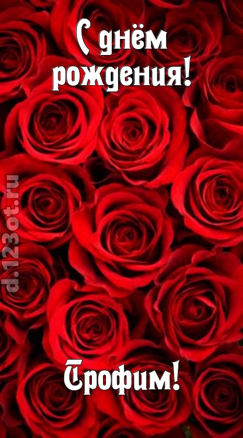 остроумная открытка с днём рождения трофим, скачать онлайн бесплатно на iphone для вацап, поздравление трофим