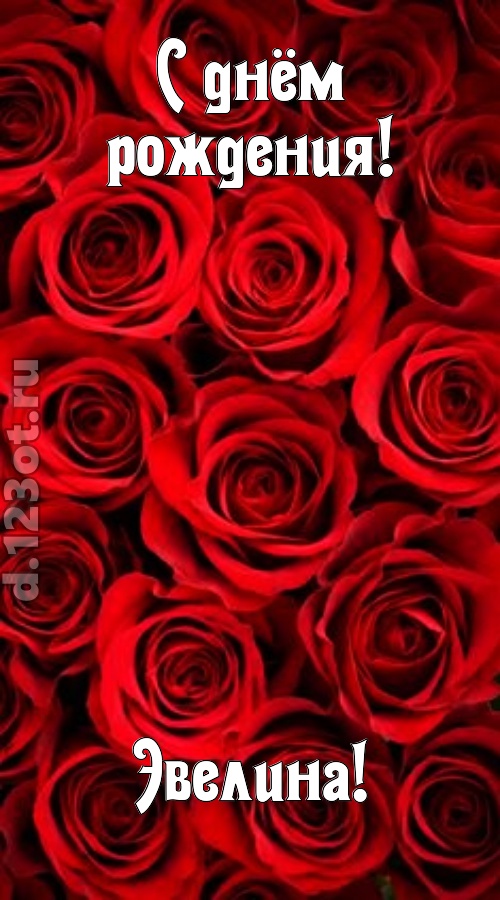 остроумная открытка с днём рождения эвелина, скачать онлайн бесплатно на iphone для вацап, поздравление эвелина