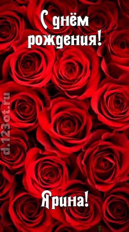 остроумная открытка с днём рождения ярина, скачать онлайн бесплатно на iphone для вацап, поздравление ярина