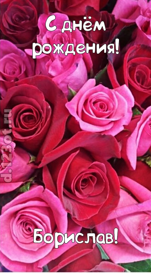от других отличная открытка с днём рождения борислав, скачать онлайн бесплатно на iphone для вацап, поздравление борислав