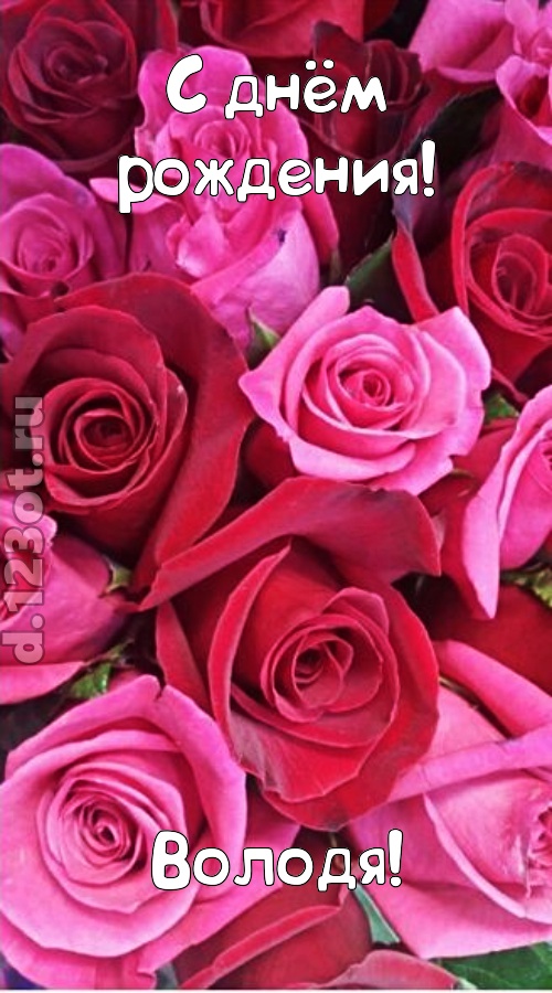 от других отличная открытка с днём рождения володя, скачать онлайн бесплатно на iphone для вацап, поздравление володя