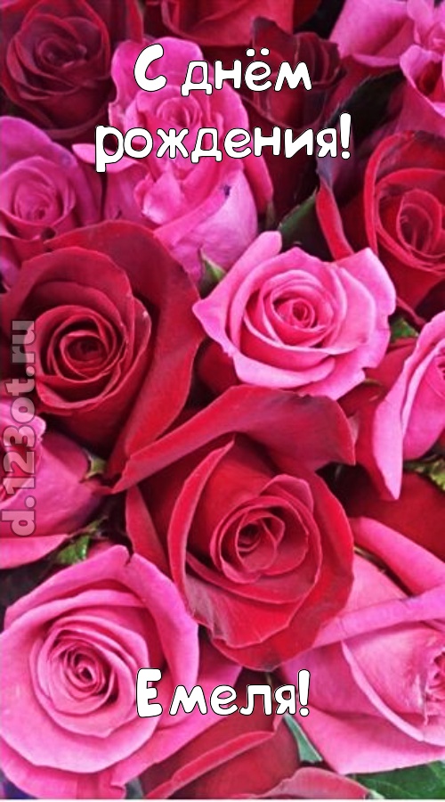 от других отличная открытка с днём рождения емеля, скачать онлайн бесплатно на iphone для вацап, поздравление емеля
