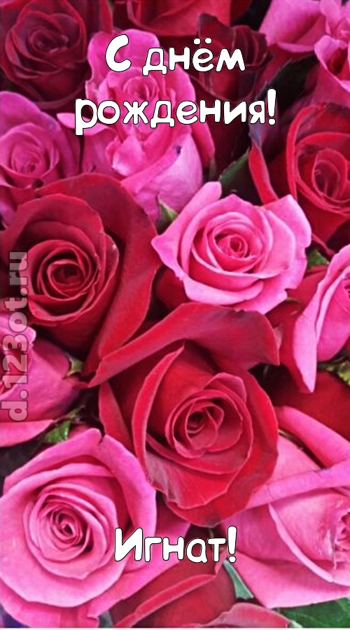 от других отличная открытка с днём рождения игнат, скачать онлайн бесплатно на iphone для вацап, поздравление игнат