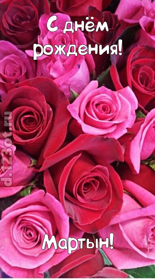 от других отличная открытка с днём рождения мартын, скачать онлайн бесплатно на iphone для вацап, поздравление мартын