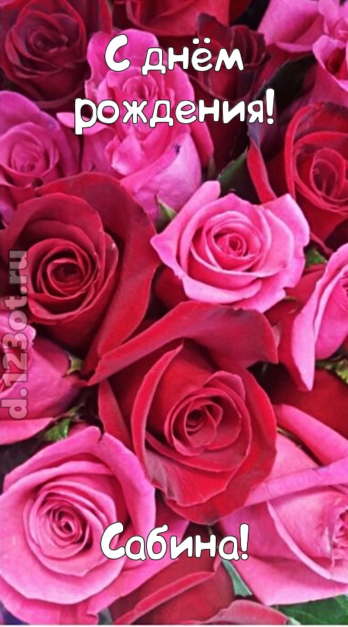 от других отличная открытка с днём рождения сабина, скачать онлайн бесплатно на iphone для вацап, поздравление сабина