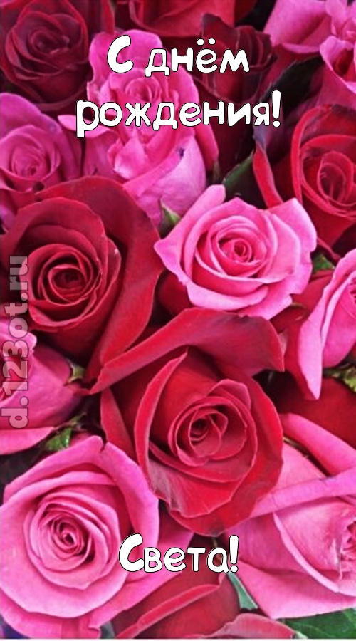 от других отличная открытка с днём рождения света, скачать онлайн бесплатно на iphone для вацап, поздравление света