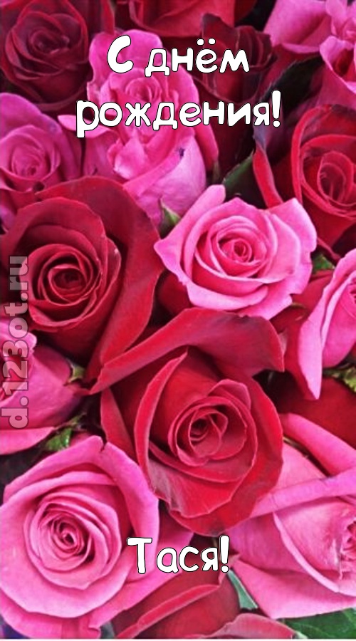 от других отличная открытка с днём рождения тася, скачать онлайн бесплатно на iphone для вацап, поздравление тася