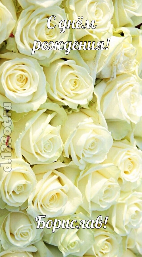 отважная открытка с днём рождения борислав, скачать онлайн бесплатно на iphone для вацап, поздравление борислав