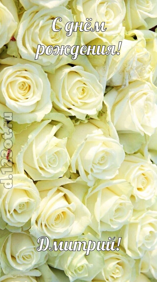отважная открытка с днём рождения дмитрий, скачать онлайн бесплатно на iphone для вацап, поздравление дмитрий