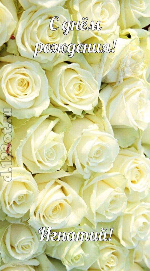 отважная открытка с днём рождения игнатий, скачать онлайн бесплатно на iphone для вацап, поздравление игнатий