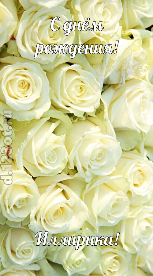 отважная открытка с днём рождения иллирика, скачать онлайн бесплатно на iphone для вацап, поздравление иллирика