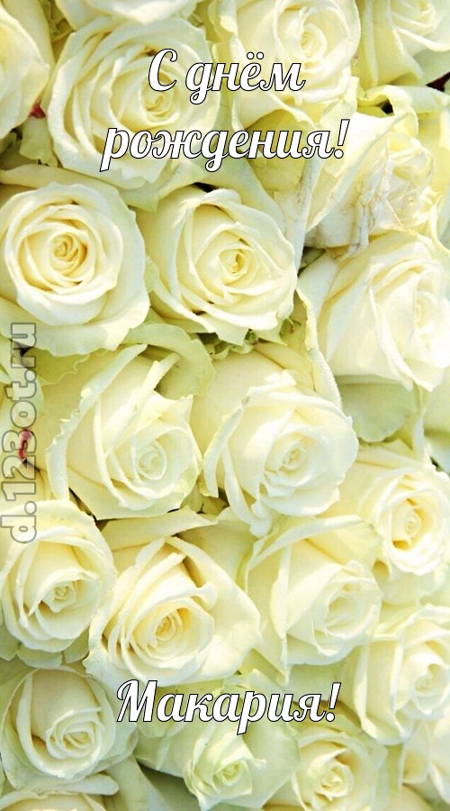 отважная открытка с днём рождения макария, скачать онлайн бесплатно на iphone для вацап, поздравление макария