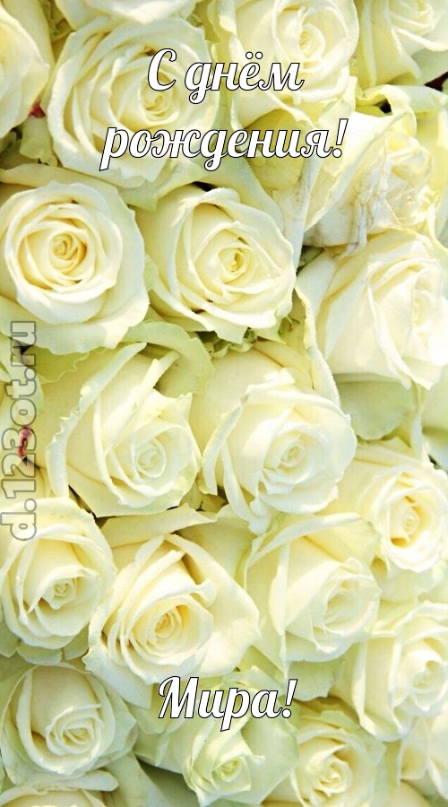 отважная открытка с днём рождения мира, скачать онлайн бесплатно на iphone для вацап, поздравление мира