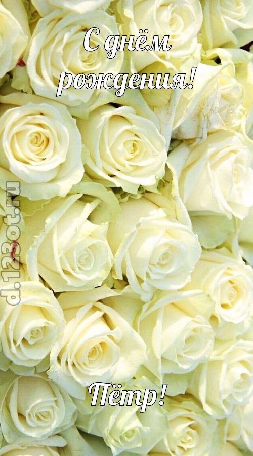 отважная открытка с днём рождения пётр, скачать онлайн бесплатно на iphone для вацап, поздравление пётр