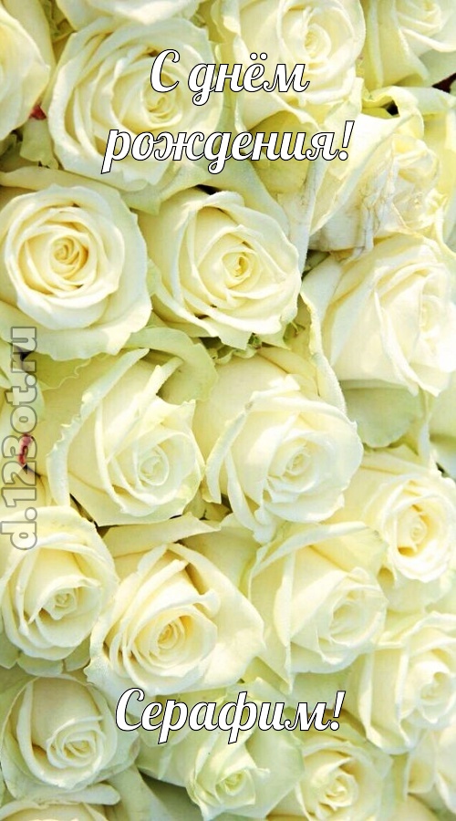 отважная открытка с днём рождения серафим, скачать онлайн бесплатно на iphone для вацап, поздравление серафим