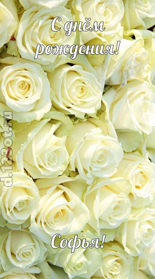 отважная открытка с днём рождения софья, скачать онлайн бесплатно на iphone для вацап, поздравление софья