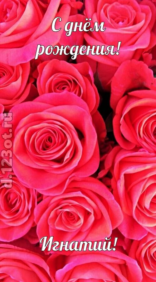 откровенная открытка с днём рождения игнатий, скачать онлайн бесплатно на iphone для вацап, поздравление игнатий