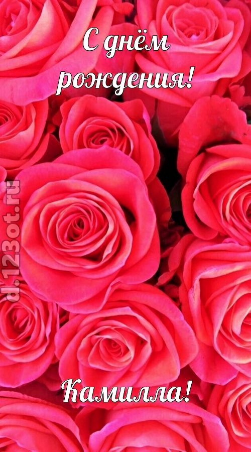 откровенная открытка с днём рождения камилла, скачать онлайн бесплатно на iphone для вацап, поздравление камилла