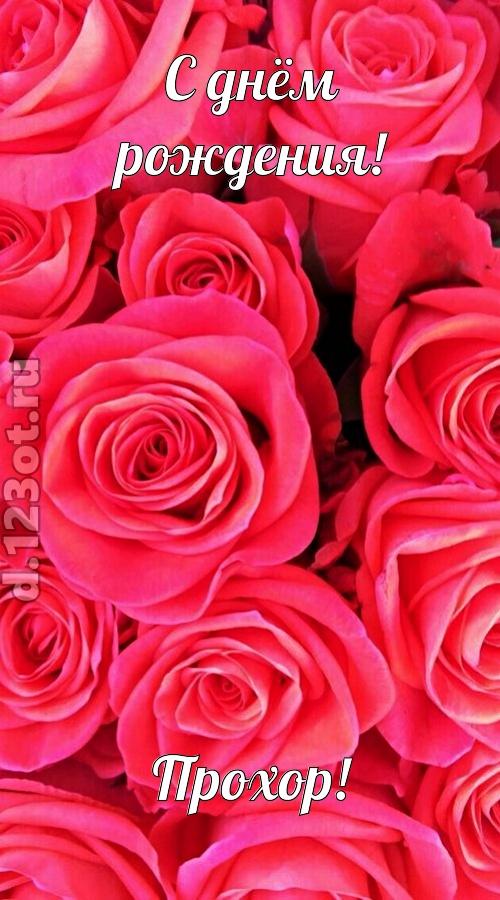 откровенная открытка с днём рождения прохор, скачать онлайн бесплатно на iphone для вацап, поздравление прохор