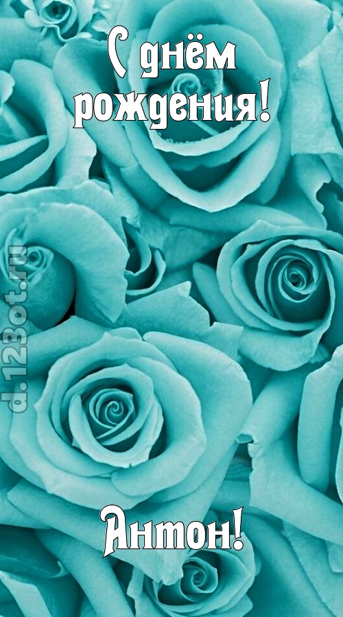открытая и добрая открытка с днём рождения антон, скачать онлайн бесплатно на iphone для вацап, поздравление антон