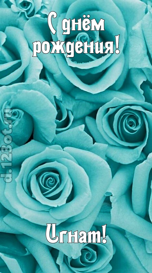 открытая и добрая открытка с днём рождения игнат, скачать онлайн бесплатно на iphone для вацап, поздравление игнат