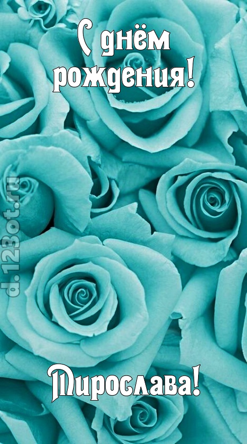 открытая и добрая открытка с днём рождения мирослава, скачать онлайн бесплатно на iphone для вацап, поздравление мирослава