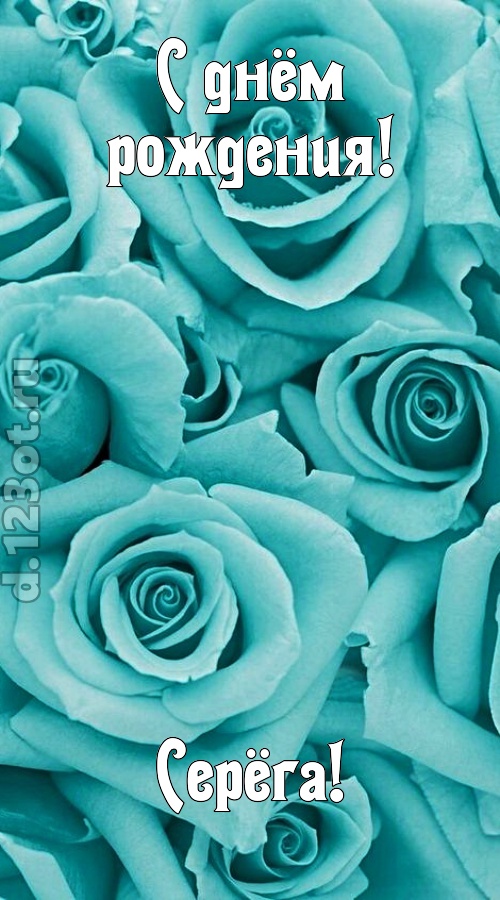 открытая и добрая открытка с днём рождения серёга, скачать онлайн бесплатно на iphone для вацап, поздравление серёга