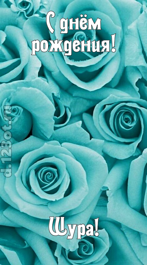 открытая и добрая открытка с днём рождения шура, скачать онлайн бесплатно на iphone для вацап, поздравление шура