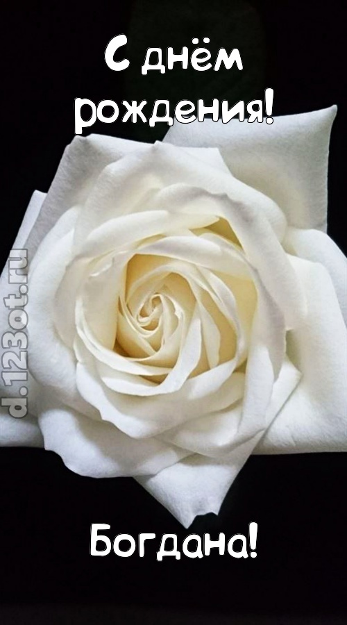 отменная открытка с днём рождения богдана, скачать онлайн бесплатно на iphone для вацап, поздравление богдана