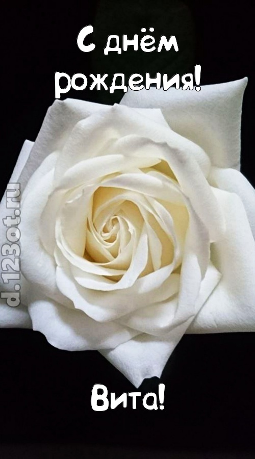 отменная открытка с днём рождения вита, скачать онлайн бесплатно на iphone для вацап, поздравление вита