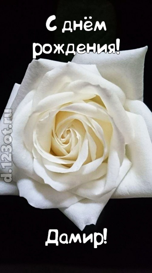 отменная открытка с днём рождения дамир, скачать онлайн бесплатно на iphone для вацап, поздравление дамир