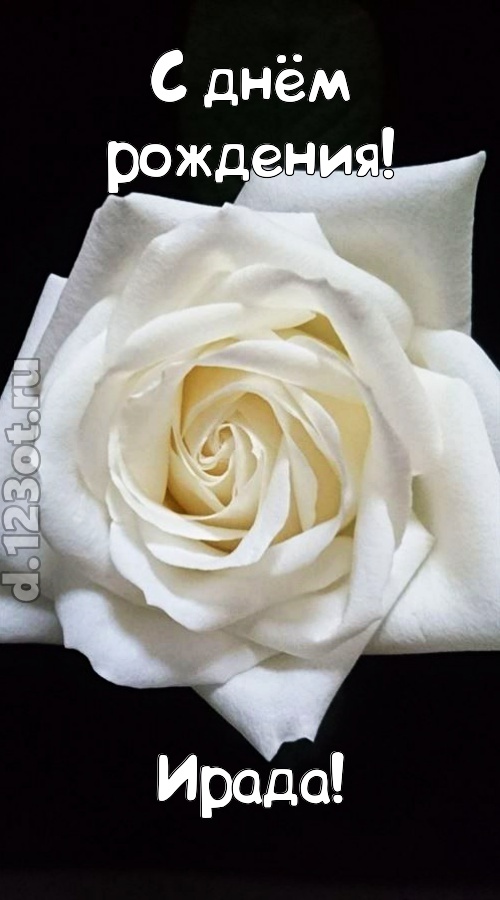 отменная открытка с днём рождения ирада, скачать онлайн бесплатно на iphone для вацап, поздравление ирада