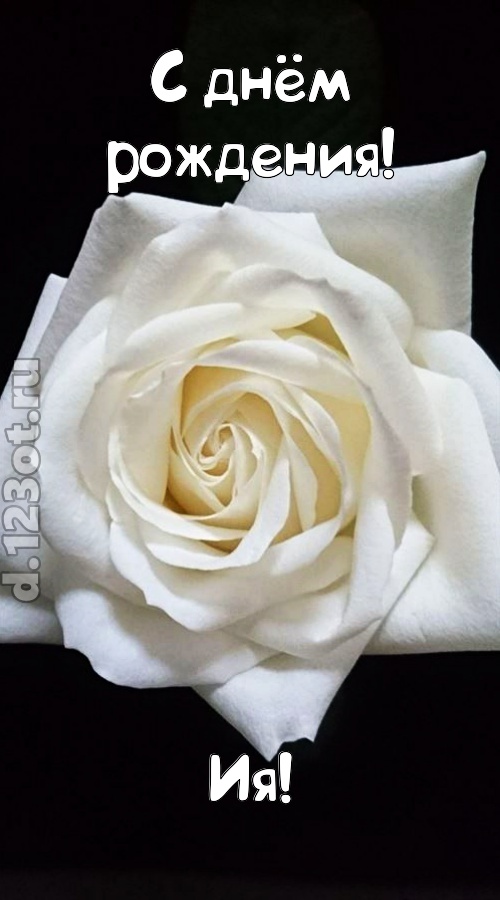 отменная открытка с днём рождения ия, скачать онлайн бесплатно на iphone для вацап, поздравление ия