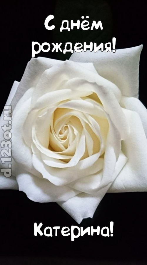 отменная открытка с днём рождения катерина, скачать онлайн бесплатно на iphone для вацап, поздравление катерина