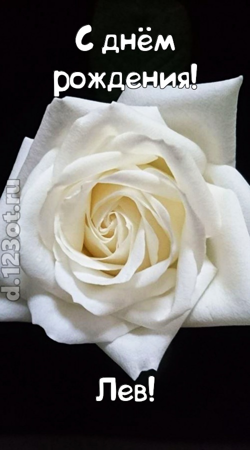 отменная открытка с днём рождения лев, скачать онлайн бесплатно на iphone для вацап, поздравление лев