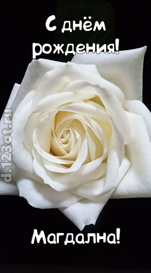 отменная открытка с днём рождения магдална, скачать онлайн бесплатно на iphone для вацап, поздравление магдална
