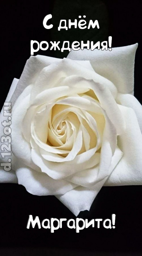 отменная открытка с днём рождения маргарита, скачать онлайн бесплатно на iphone для вацап, поздравление маргарита
