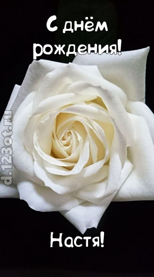 отменная открытка с днём рождения настя, скачать онлайн бесплатно на iphone для вацап, поздравление настя