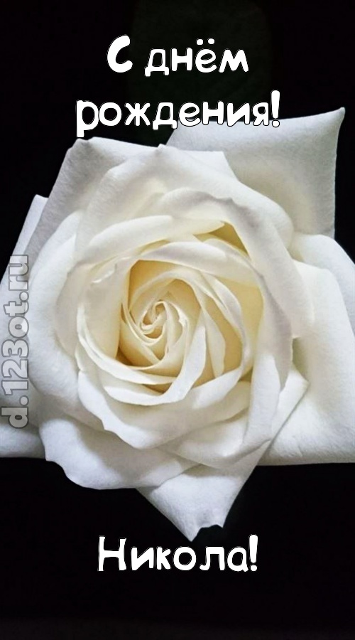 отменная открытка с днём рождения никола, скачать онлайн бесплатно на iphone для вацап, поздравление никола