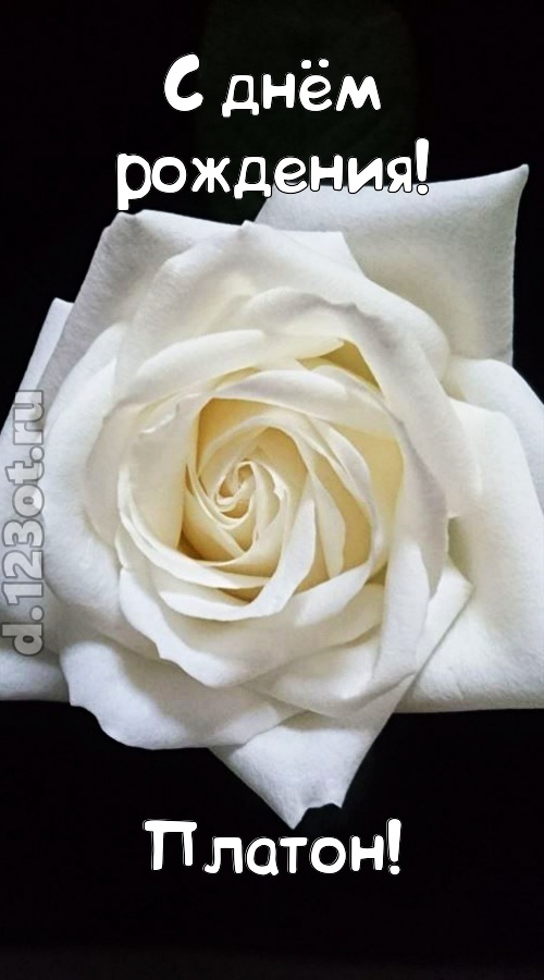 отменная открытка с днём рождения платон, скачать онлайн бесплатно на iphone для вацап, поздравление платон