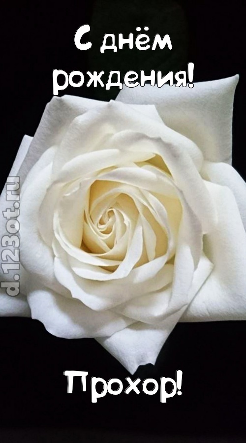 отменная открытка с днём рождения прохор, скачать онлайн бесплатно на iphone для вацап, поздравление прохор
