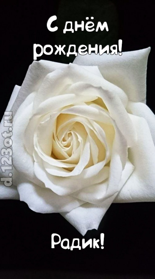 отменная открытка с днём рождения радик, скачать онлайн бесплатно на iphone для вацап, поздравление радик
