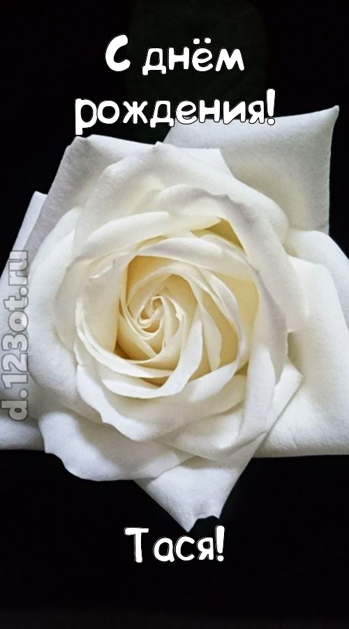 отменная открытка с днём рождения тася, скачать онлайн бесплатно на iphone для вацап, поздравление тася