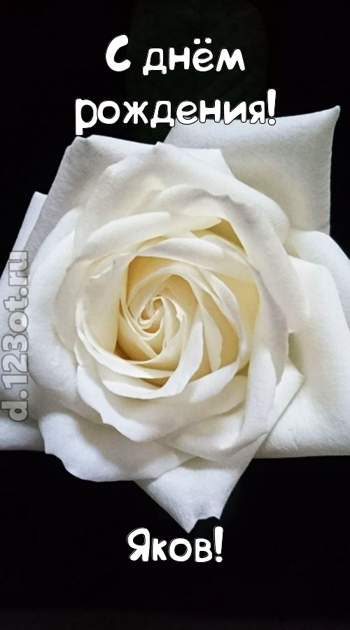 отменная открытка с днём рождения яков, скачать онлайн бесплатно на iphone для вацап, поздравление яков