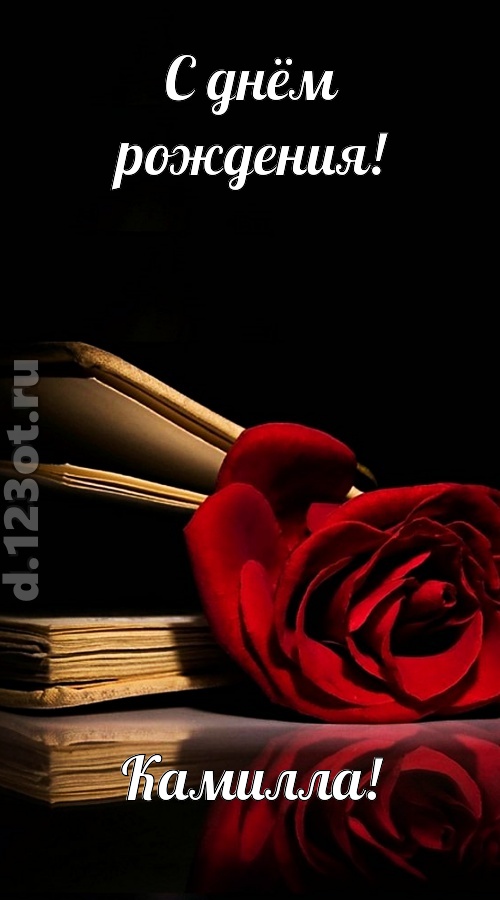 отпадная открытка с днём рождения камилла, скачать онлайн бесплатно на iphone для вацап, поздравление камилла