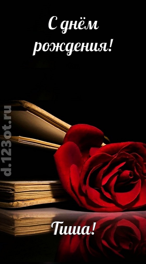 отпадная открытка с днём рождения тиша, скачать онлайн бесплатно на iphone для вацап, поздравление тиша