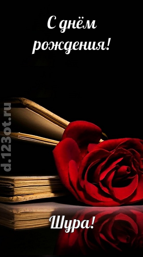 отпадная открытка с днём рождения шура, скачать онлайн бесплатно на iphone для вацап, поздравление шура