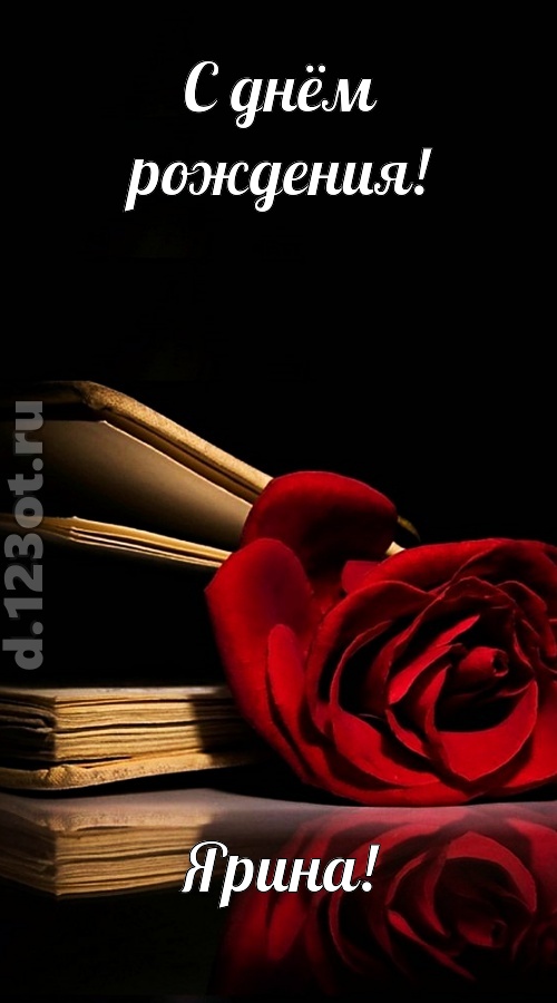 отпадная открытка с днём рождения ярина, скачать онлайн бесплатно на iphone для вацап, поздравление ярина