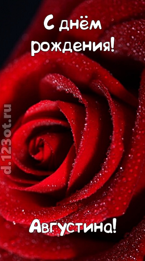 отрезвляющая открытка с днём рождения августина, скачать онлайн бесплатно на iphone для вацап, поздравление августина