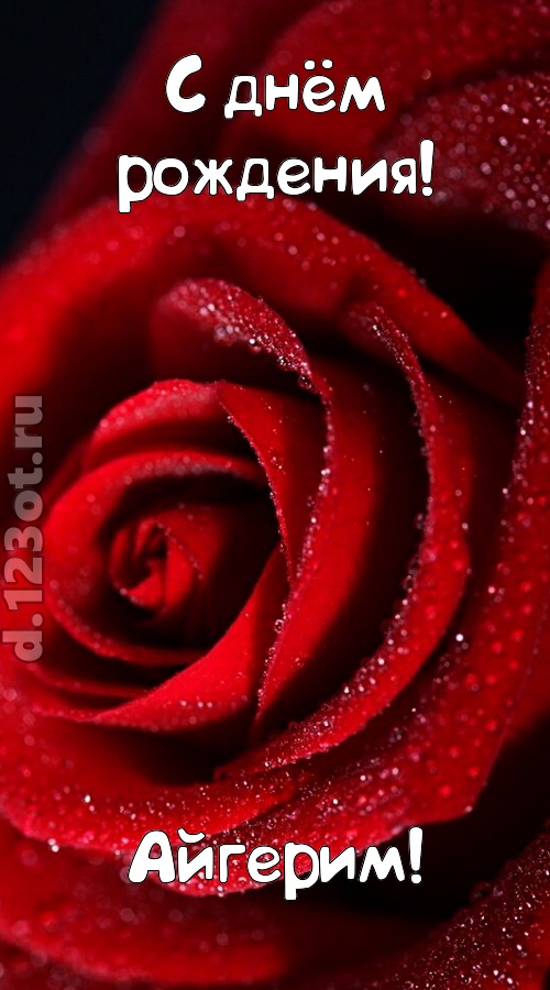 отрезвляющая открытка с днём рождения айгерим, скачать онлайн бесплатно на iphone для вацап, поздравление айгерим